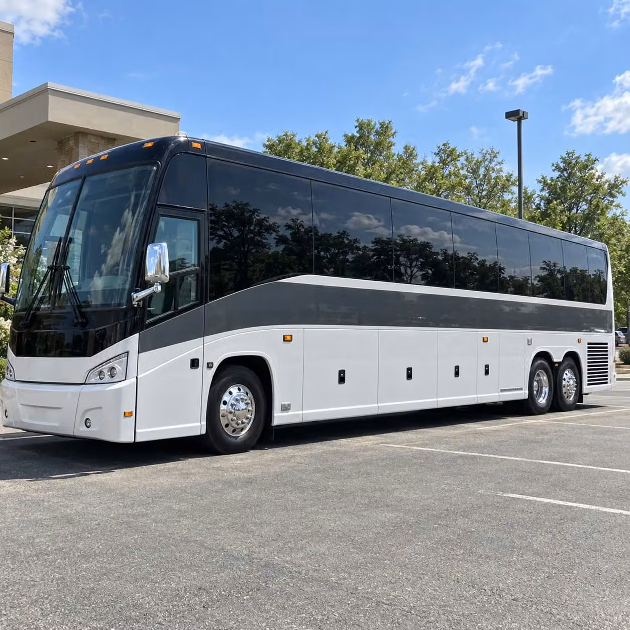 nature and outdoor field trips from davie are easy with the right bus